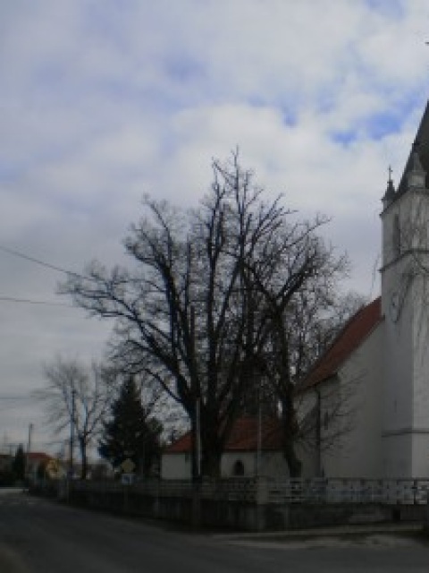 Kostol sv. Jána Krstiteľa v Slovenskom Grobe