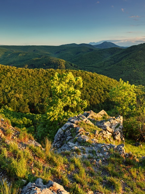 Chránená krajinná oblasť Malé Karpaty
