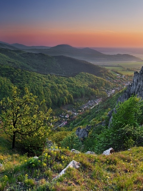 Národná prírodná rezervácia Kršlenica